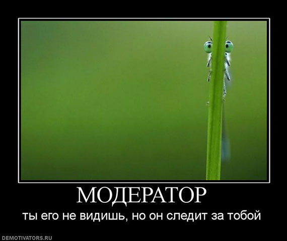 Выбор модератора